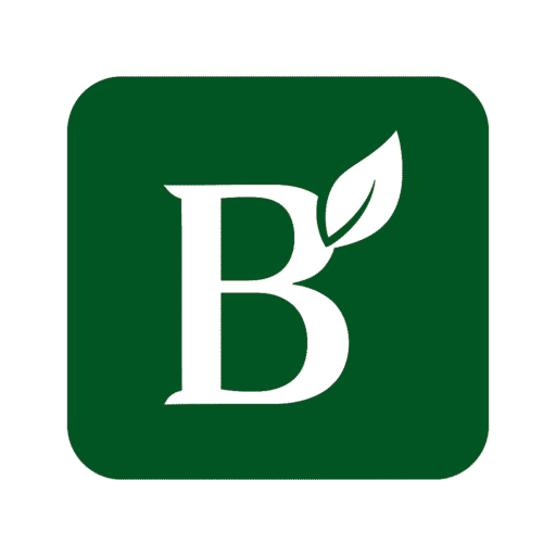 Beauty Today Wellness